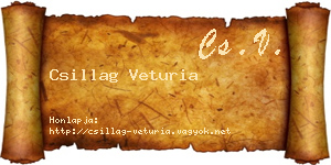 Csillag Veturia névjegykártya